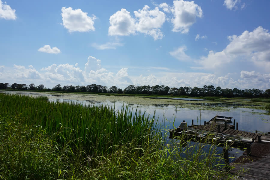 Freshwater_pond