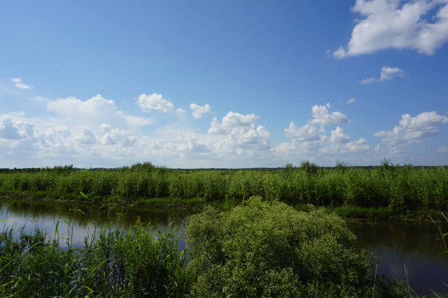 Internal_view-canal