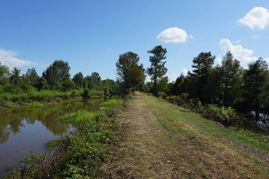 Riverine_system-canal-levee