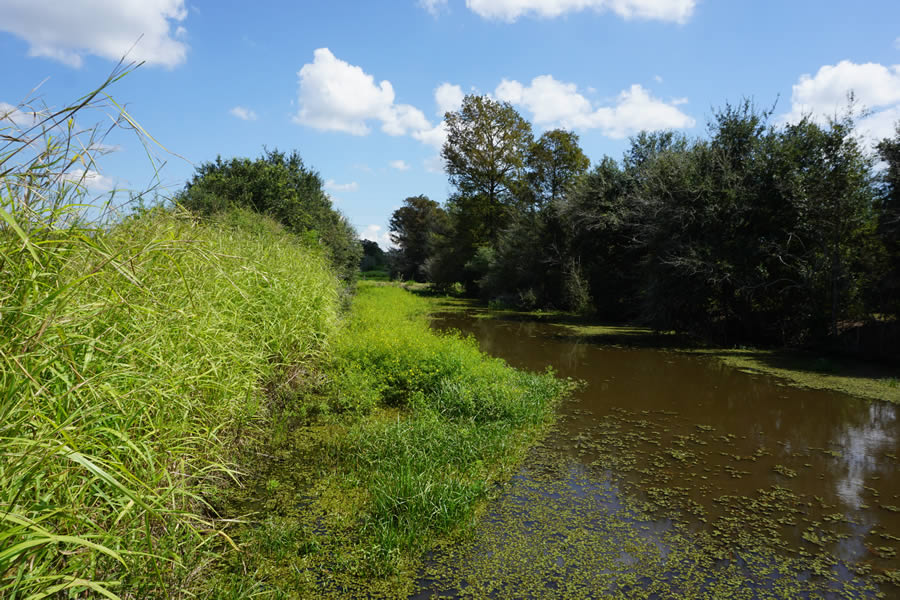 Riverine_system-canal