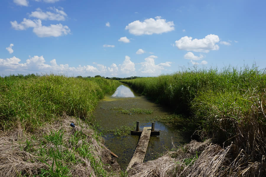 Riverine_system-canal_2